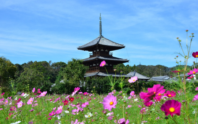 Hokiji Temple(world heritage)